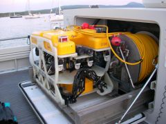 rov 1